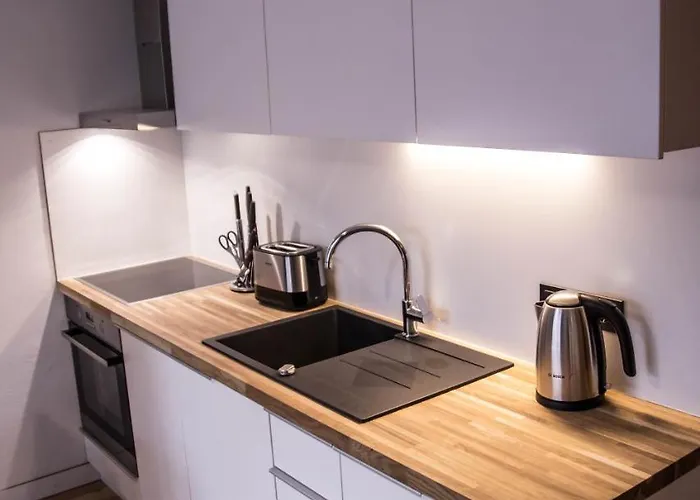 Ex Factory Apartment Riga